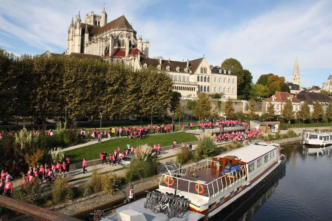 octobre rose, course contre le cancer