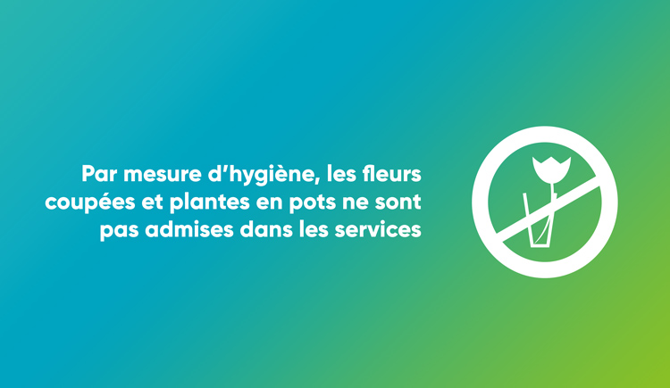 Les fleurs coupées et plantes en pots ne sont pas admises dans les services